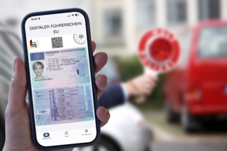 Symbolic image, photo montage, the digital driving license, on a smartphone app, should be