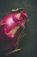 Dragon fruit, pitahaya, one piece, top view, rustic style, green background