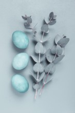 Composition of eucalyptus leaves and turquoise colored eggs, on a gray background, Easter card, top