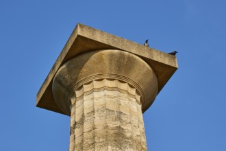 Temple of Zeus, ancient column with two birds on top against a blue sky, archaeological site,