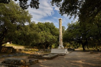 Column of the NikAntique Column in a wooded landscape of ruins under a blue sky, Archaeological