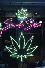 Bangkok, Thailand. March 12th 2025. Illuminated neon green cannabis leaf sign in the Patpong Night