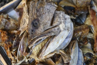Dried fish heads for sale inside the Maeklong Railway market, one of the largest food and seafood