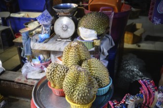 Durian, known as the king of fruits, is a large, spiky tropical fruit famously popular in Thailand