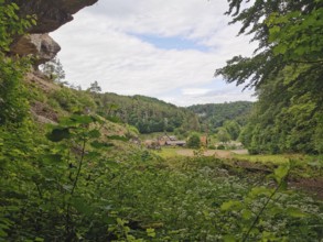 View through dense vegetation of a landscape with meadow, forest and buildings, hiking in the