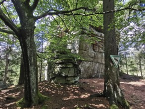 Large rock in the forest, surrounded by tall trees and a sign, Franconian mountain trail, hiking in