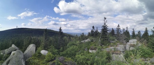 Panoramic view from Nusshardt over a wooded landscape with rocks and cloudy sky in the background,