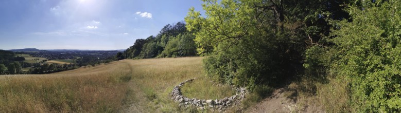 Wide landscape with fields and forest under clear, sunny skies, hiking in the Franconian Forest