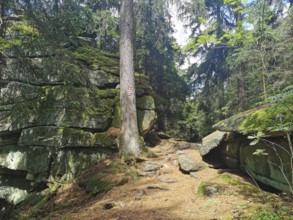Winding hiking trail through a forest with moss-covered rocks, Franconian mountain trail, hiking in