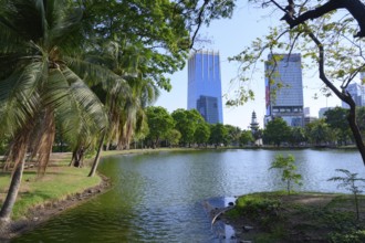 Bangkok, Thailand. March 4th 2025. A rare urban green space in the city centre, high rise modern