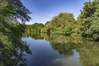 Regnitz Altwasser in Forchheim, Upper Franconia, Bavaria, Germany