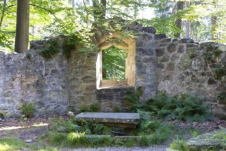 Romantic ruin of the Barbara Chapel in the Dippoldiswald Heath, Saxony, Germany