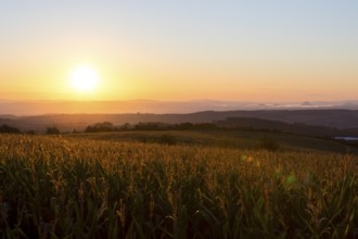 Colour-intensive sunrise towards Saxon Switzerland seen from round, Bannewitz, Saxony, Germany