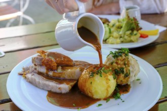 Roast pork with dumplings and sauce, Steiner Bräustüberl, Stein an der Traun, Chiemgau, Upper