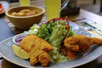 Styrian fried chicken salad, salad with fried chicken and pumpkin seeds, food, Achenkirch, Tyrol,
