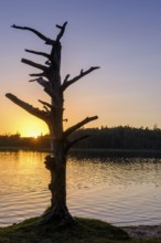Sunset at Fonsee, Ostersee, near Iffeldorf, Upper Bavaria, Bavaria, Germany
