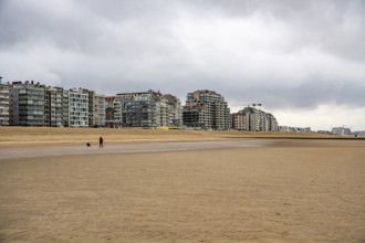 The skyline of Knokke-Heist, on the North Sea beach, dreary winter day, mostly apartment buildings