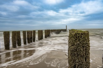 Coastal protection, through wooden posts, paalhoofden, on the beach, breakwater, the piles, some of