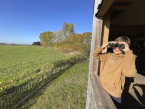 Boy watching cranes with binoculars, Perfect place to watch cranes, Nabu, Crane panorama at Günzer