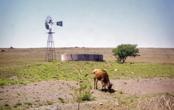 Water trough fed by a functioning windmill on a farm in a dry, rural landscape, likely in the Karoo