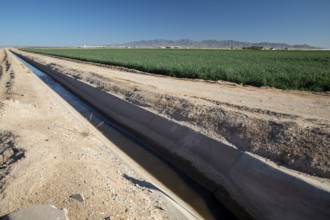 Buckeye, Arizona - A ditch carries irrigation water to crops growing on a farm in the Arizona