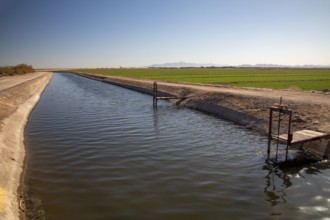 Buckeye, Arizona - A canal carries irrigation water to crops growing on a farm in the Arizona