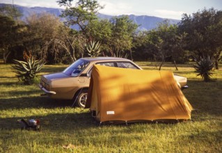 Car and small tent at campsite amongst tropical trees with camp cooking equipment, South Africa,