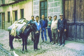Group of working men standing in cobbled street with mule or donkey, Portugal, Europe 1968