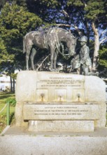 The Horse Memorial bronze sculpture, Port Elizabeth or Gqeberha, Eastern Cape province, South