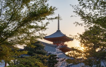 Sanjunoto Pagoda, blossoming cherry tree and trees in a garden in spring, Kiyomizu-dera temple,