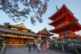 Sanjunoto Pagoda, Zuigu-do and Kyodo Hall in the evening light, Kiyomizu-dera Temple, in the