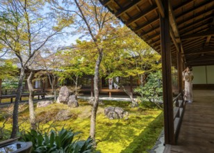 Japanese woman dressed in kimono in Kennin-ji Buddhist temple, O-shoin courtyard with Shione