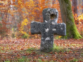 Medieval stone cross in the forest in autumn, atonement cross, murder cross, court cross, Spaal