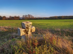 Medieval stone cross on the edge of the field in autumn, Sühnekreuz, Mordkreuz, Liebenstein,