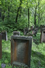 Lezajsk Jewish Cemetery, Poland