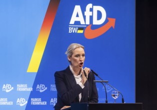 Alice Weidel, co-chair of the parliamentary group of the right-wing populist and far-right