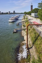 Rhine river, Rheinhallen exhibition halls, brick architecture, exhibition tower, general