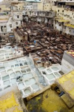 Chouwara tanning and dyeing district, Fez El Bali, Medina, UNESCO World Heritage Site, Fez, Morocco