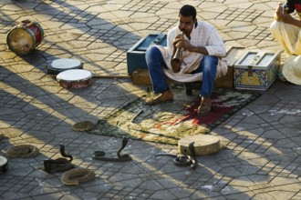 Snake charmers on Place Djemma el-Fna, Juklerplatz, UNESCO World Heritage Site, Marrakech, Morocco