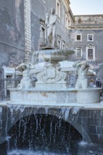 Amenano fountain, Piazza Duomo, Catania, Sicily, Italy