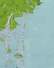 Birch trees post card template