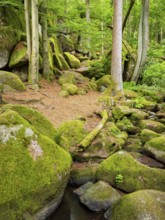 The Höllbach in the Hölle Nature Reserve flows through green forest and large moss-covered rocks,