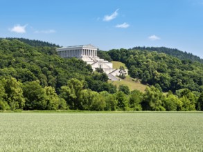 View across a green cornfield to the Walhalla Memorial on the Bräuberg, Donaustauf, Upper