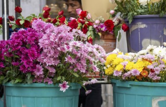 Buckets of assorted flowers, including chrysanthemums and roses, displayed at a flower shop on