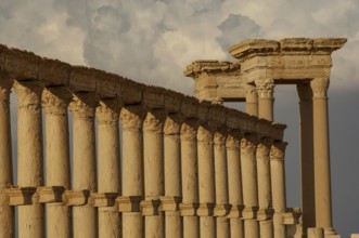 Palmyra, Syria. April 10th 2011 Roman columns leading to the Tetrapylon at the ruined city of