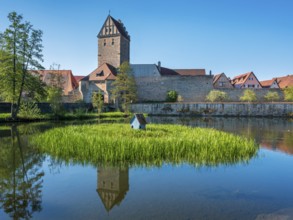 View across the Rothenburg pond to the historic old town with city wall and Rothenburg Gate,