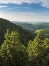 View of endless green forests on Schneekopf in the Thuringian Forest, Gehlberg, Thuringia, Germany