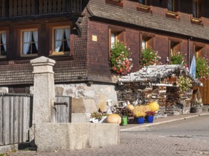 Typical Black Forest house, fountain, window with flowers and firewood in front of the shingle