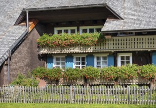 Typical Black Forest house, balconies with flowers, Menzenschwand, Black Forest, Baden-Württemberg,