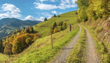 Hiking trail near Wieden in autumn, Black Forest, Baden-Württemberg, Germany